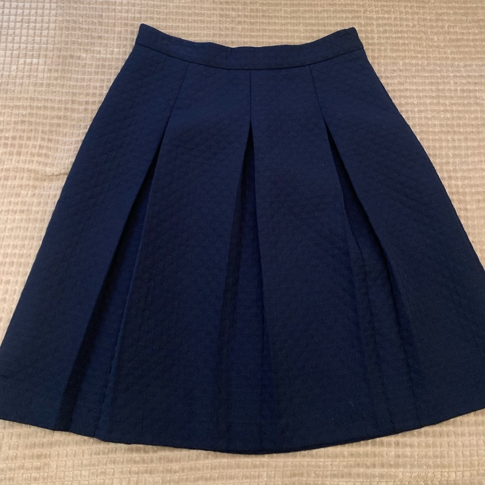 Textured pleated skirt